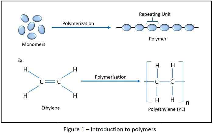 Introduction to polymers and basics